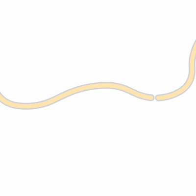 Export Image